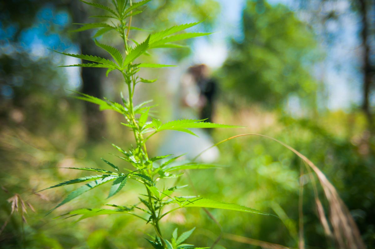 Сергей Гриценко фотография #42