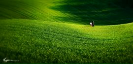 Фотография Улановой Дарьи