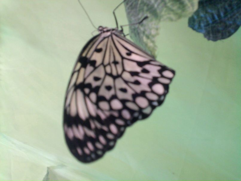 Катя Клименко фотография #12