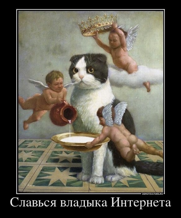 Vladimir Ghost фотография #31