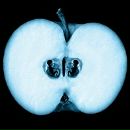 Фотография Никифорова Константина