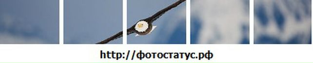 Дмитро Різник фотография #3 (источник - https://vk.com/id15977695)