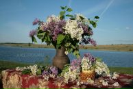 Фотография Flurovna Leysan