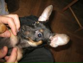 Фотография Герасимовой Татьяны