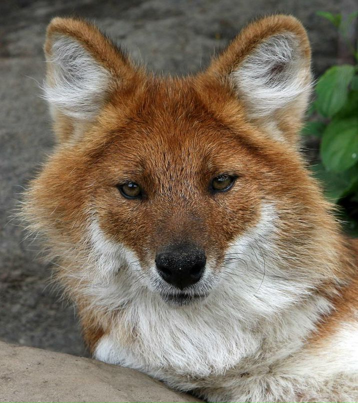 Art Mori фотография #48