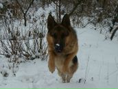 Саша Петрунін фотография #24 (источник - https://vk.com/id127332013)