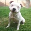 Фотография Аверина Романа