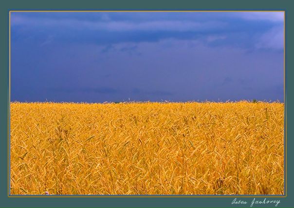 Yahn Shmidt фото №1