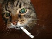 Сергій Подвисоцький фотография #42 (источник - https://vk.com/id34839505)