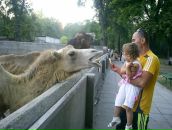 Наталія Моргоч фотография #23 (источник - https://vk.com/id45358755)