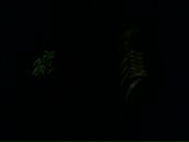 Айдар Баширов фотография #43 (источник - https://vk.com/id3944411)