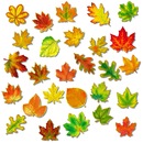 Фотография Смирновой Марины