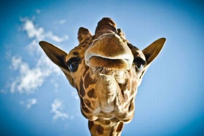 Егор Бондарик фотография #20