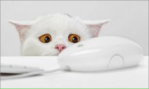 Фотография Басковой Екатерины