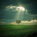 Фотография Назаарова Ильи