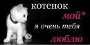 Віталій Комаров фотография #30 (источник - https://vk.com/id251177442)