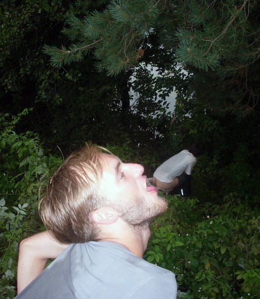 Pingvin Art фотография #46