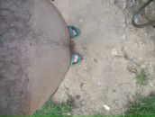 Фотография Меньшикова Сергея