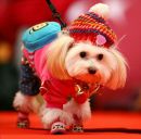 Фотография Тупицыной Светланы