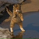 Фотография Ткаченко Ольги