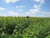 Танічка Самборська фотография #44 (источник - https://vk.com/id16285497)