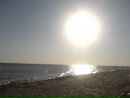Светлана Печоріна фотография #25 (источник - https://vk.com/id125561791)