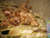 Фотография Полихи Маргариты