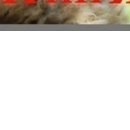 Настусік Радзік фотография #17 (источник - https://vk.com/id120908089)