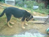 Олександр Калінчук фотография #39 (источник - https://vk.com/id30590655)