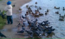 Фотография П Ольги