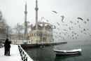 Ucakbileti 1 фотография #39 (источник - https://vk.com/id139611141)