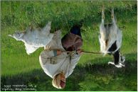 Илья Перфоратор фотография #2 (источник - https://vk.com/id4715050)