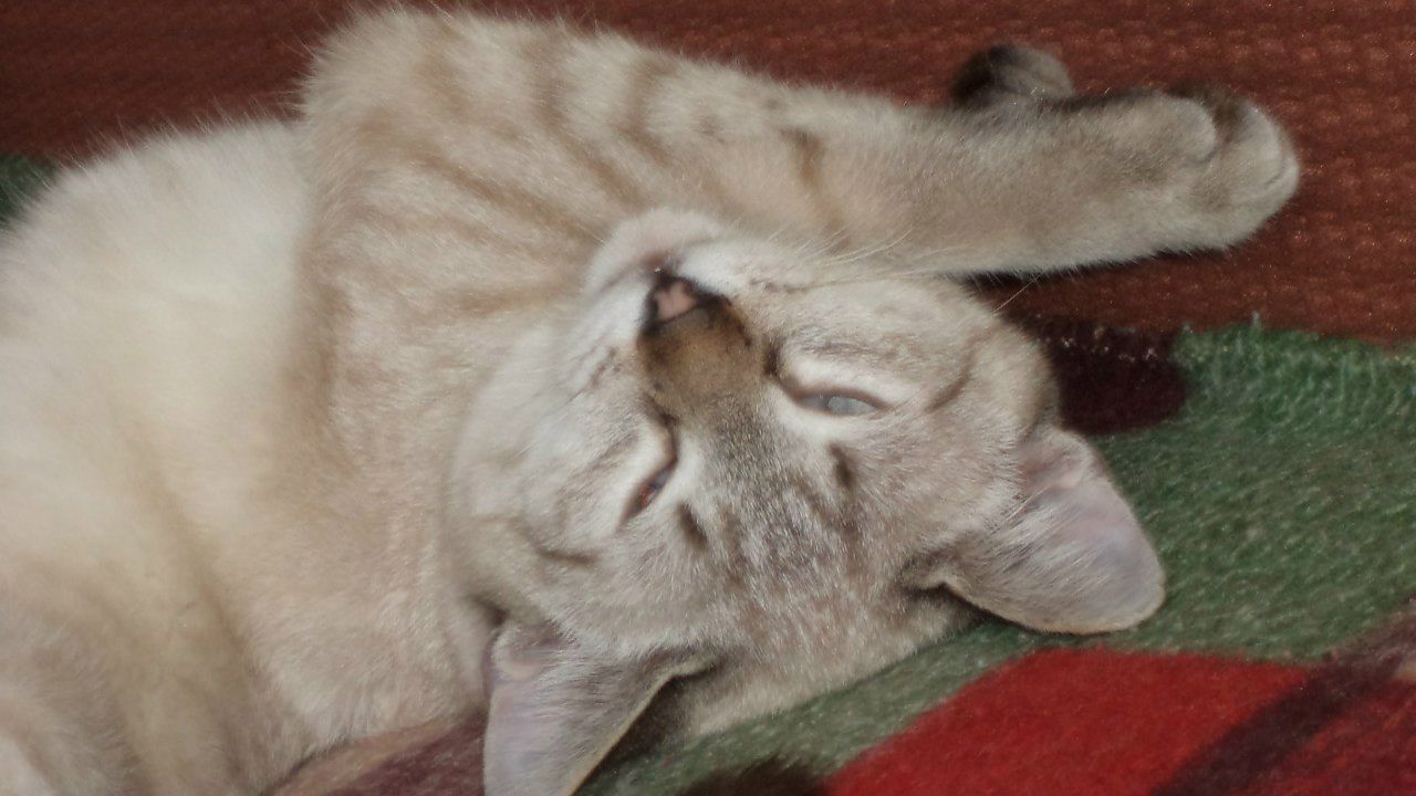 Маринка Малинка фотография #30