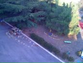 Михаил Плотников фотография #46 (источник - https://vk.com/id29204786)