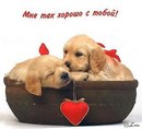 Крістінка-малінка *** фотография #20 (источник - https://vk.com/id146914569)