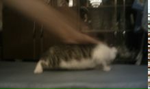 Алексей Папков фотография #34 (источник - https://vk.com/id3376131)