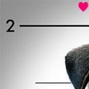 Вєталь Серйозний фотография #27 (источник - https://vk.com/id136859700)