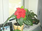 Анна Иванова фотография #33 (источник - https://vk.com/id1762974)