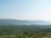 Жаннин Вильхайн фотография #21 (источник - https://vk.com/id1082585)