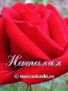 Марія Кухарик фотография #19 (источник - https://vk.com/id151381634)