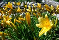 Ирина Бабенко фотография #28 (источник - https://vk.com/id2244513)