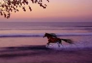 Фотография Белокопытовой Ольги