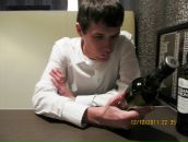 Фотография  