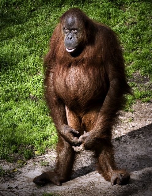 Иван Линник фотография #32