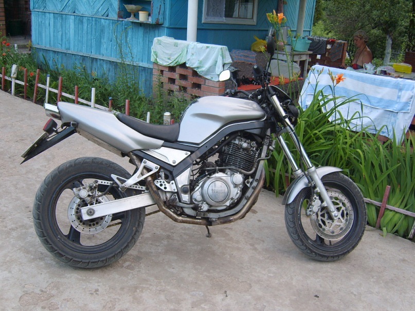 Евгений Койот фотография #38