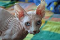 Фотография Сергеева Татьяна