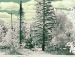 Міша Копанський фотография #40 (источник - https://vk.com/id25378517)