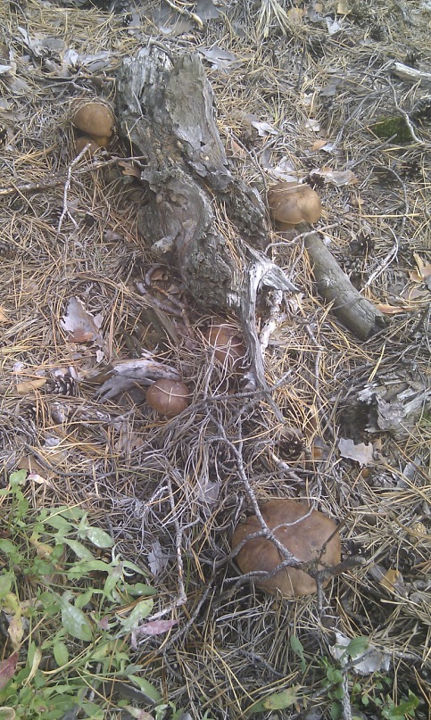 Александр Филатов фотография #39