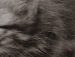 Наталя Новікова фотография #12 (источник - https://vk.com/id132852072)