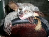 Фотография Созиева Олега